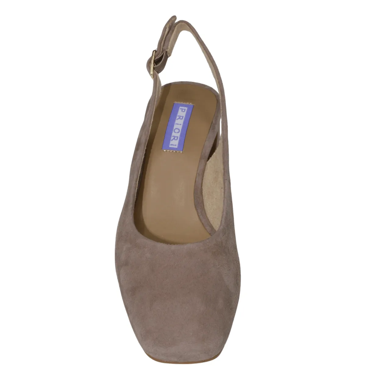 Danielle Slingback Pump High Heeled Mary Janes