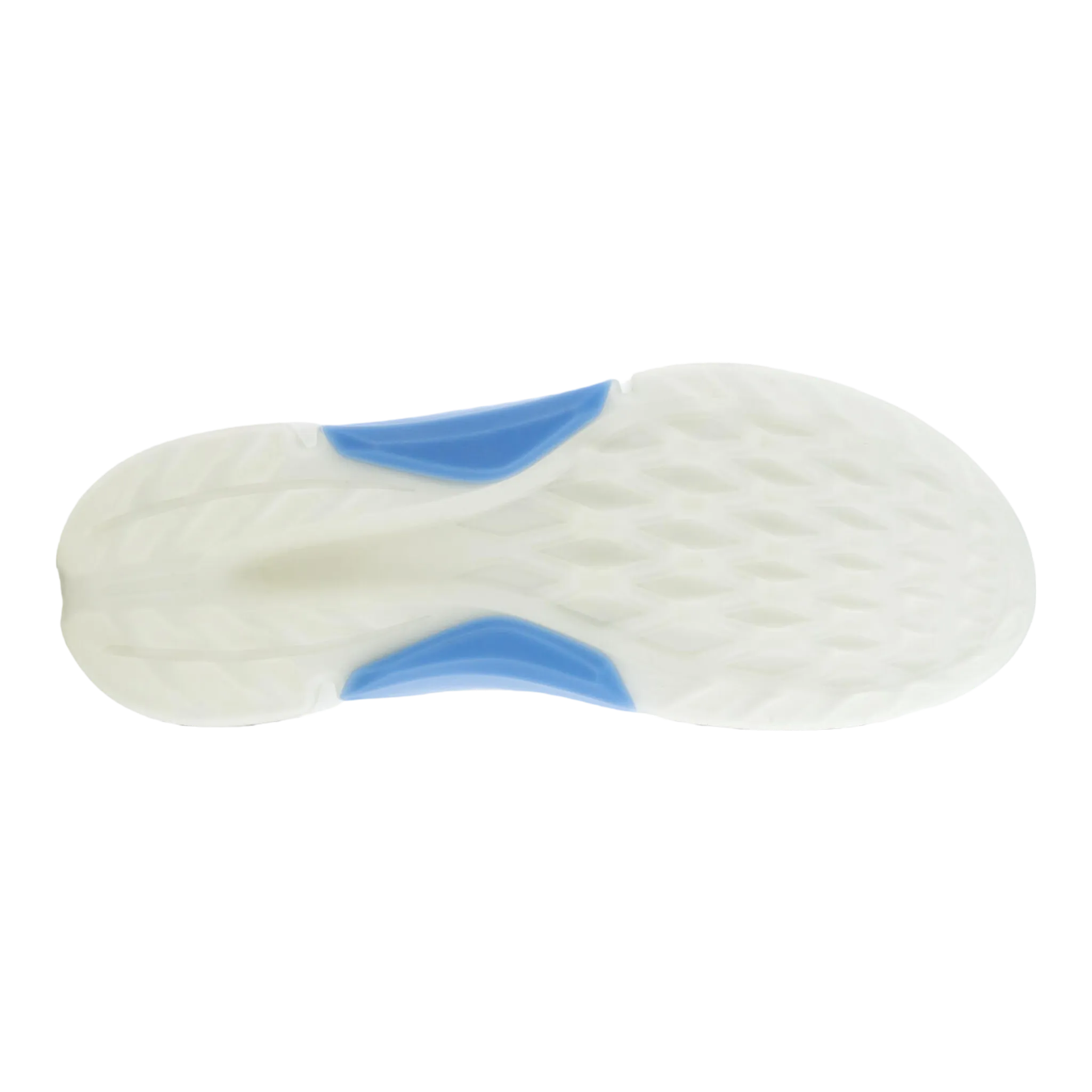 Men's Golf BIOM H4 Shoe All Day Sc Golf
